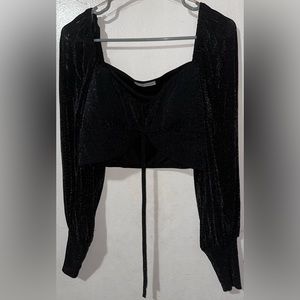 Mienne Glitter Crop Top with Mesh Sleeves